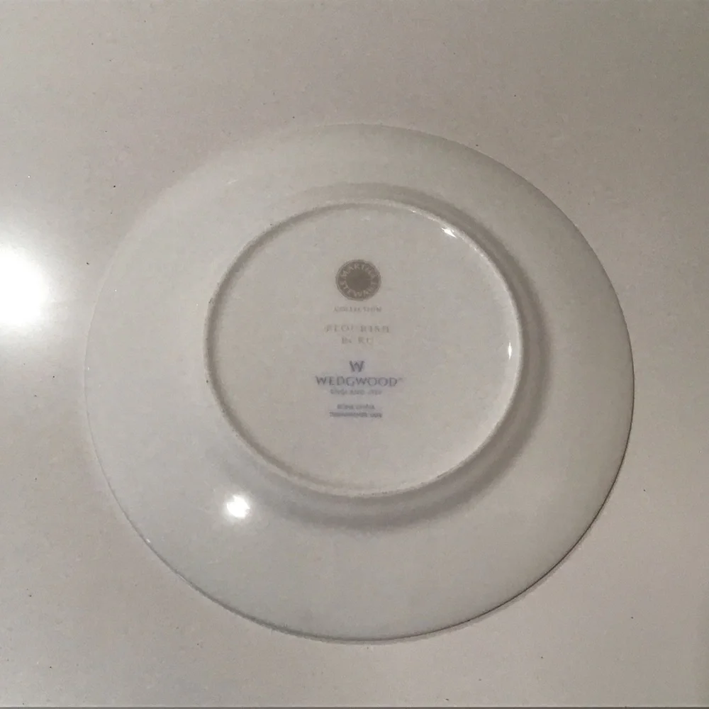 Wedgwood Martha Stewart‎ Flourish Ecru Platinum Vine 6